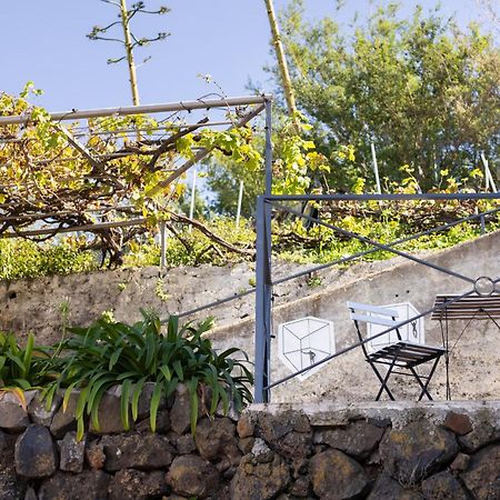 Ek Las Vistas Finca El Milagro La Orotava Bagian luar foto