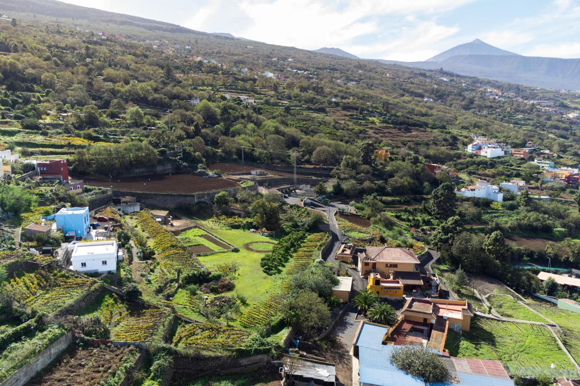 Ek Las Vistas Finca El Milagro La Orotava Bagian luar foto
