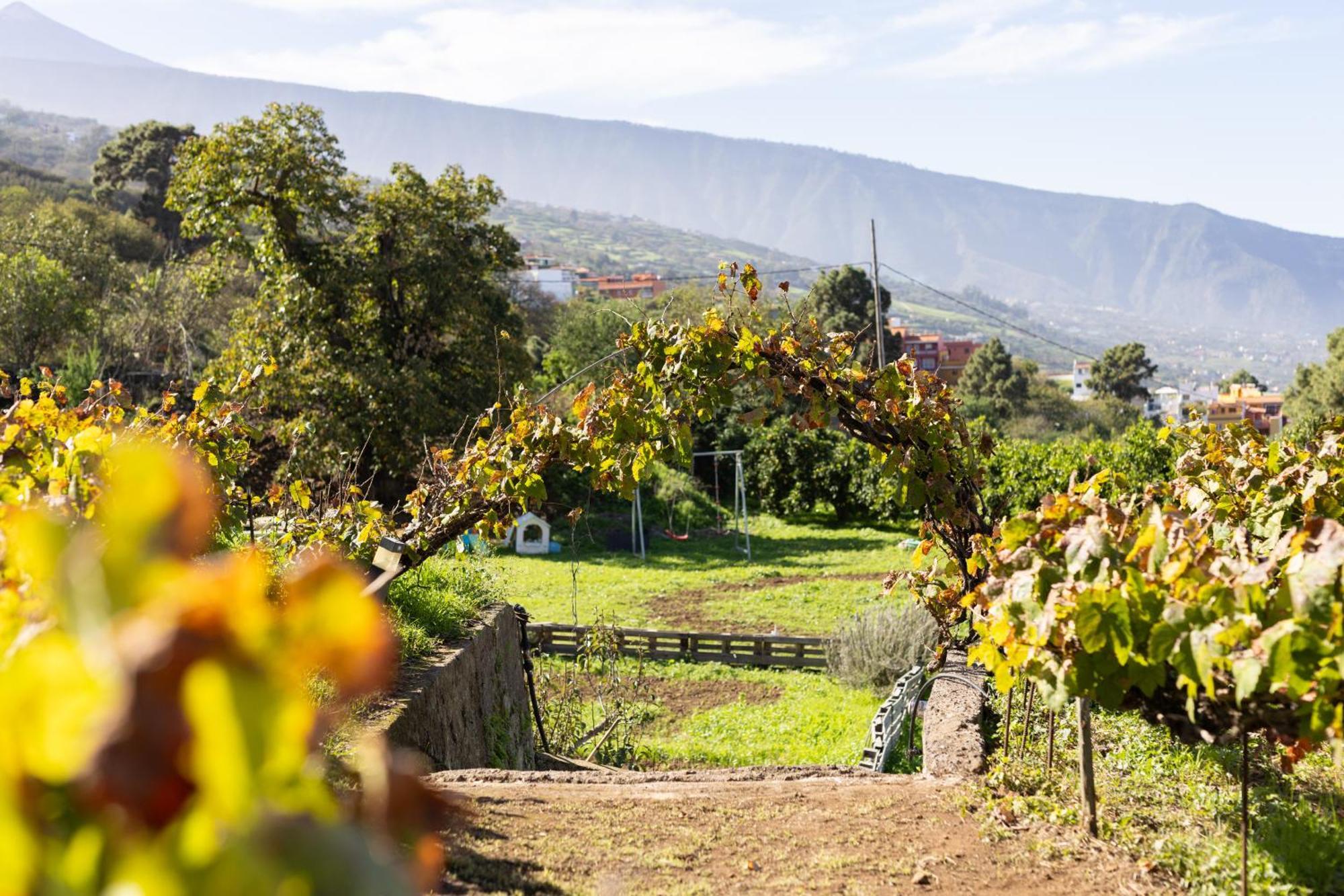 Ek Las Vistas Finca El Milagro La Orotava Bagian luar foto