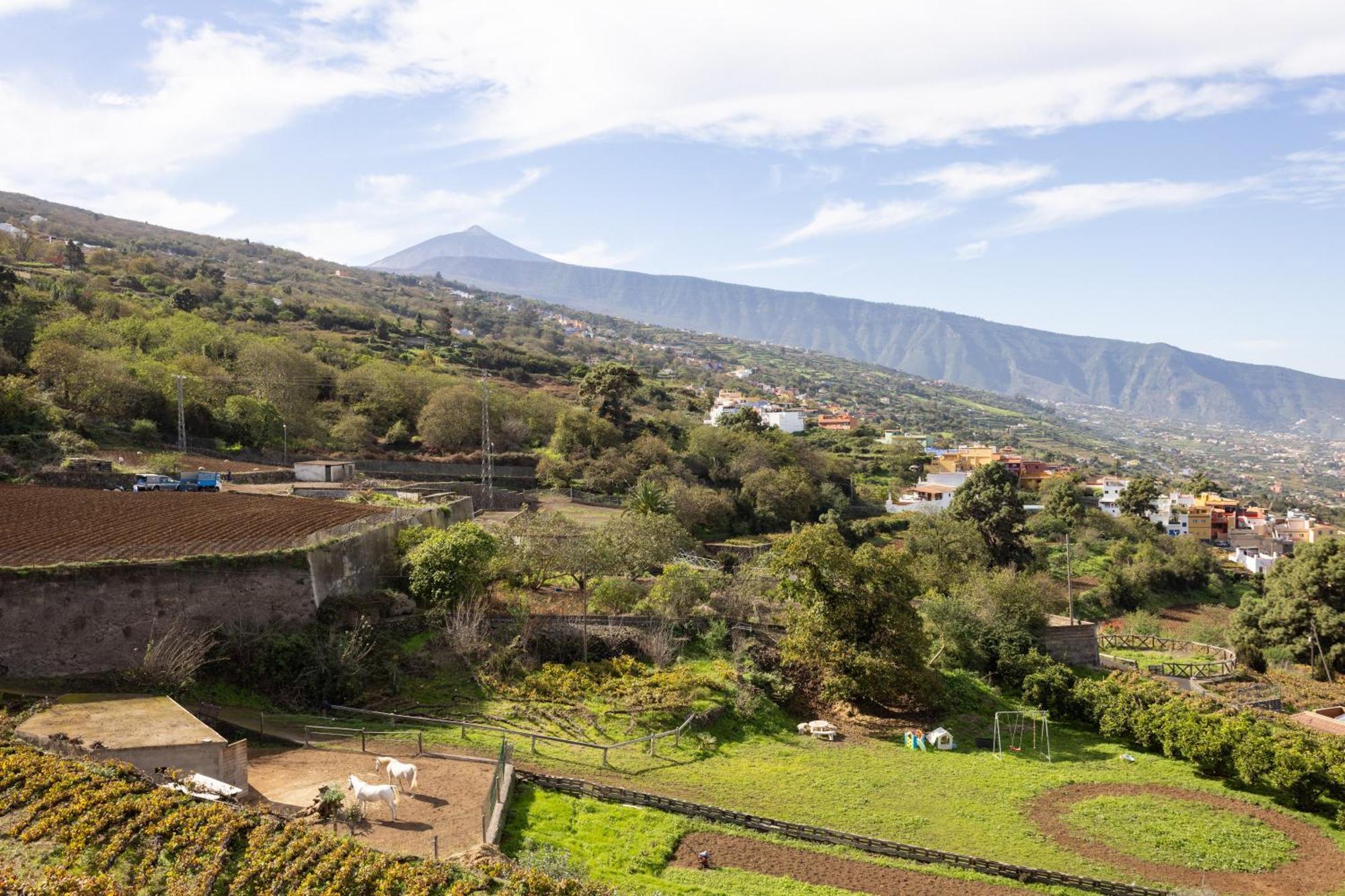 Ek Las Vistas Finca El Milagro La Orotava Bagian luar foto