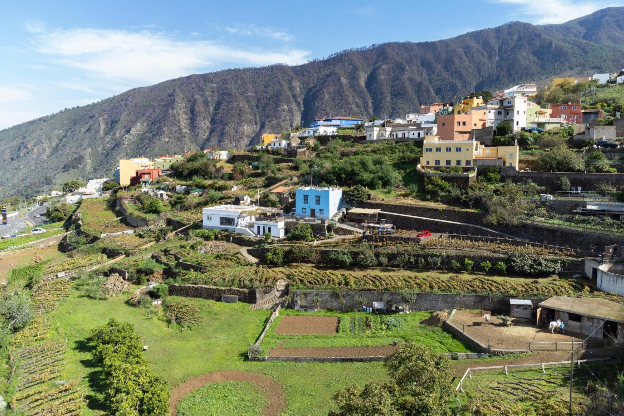 Ek Las Vistas Finca El Milagro La Orotava Bagian luar foto