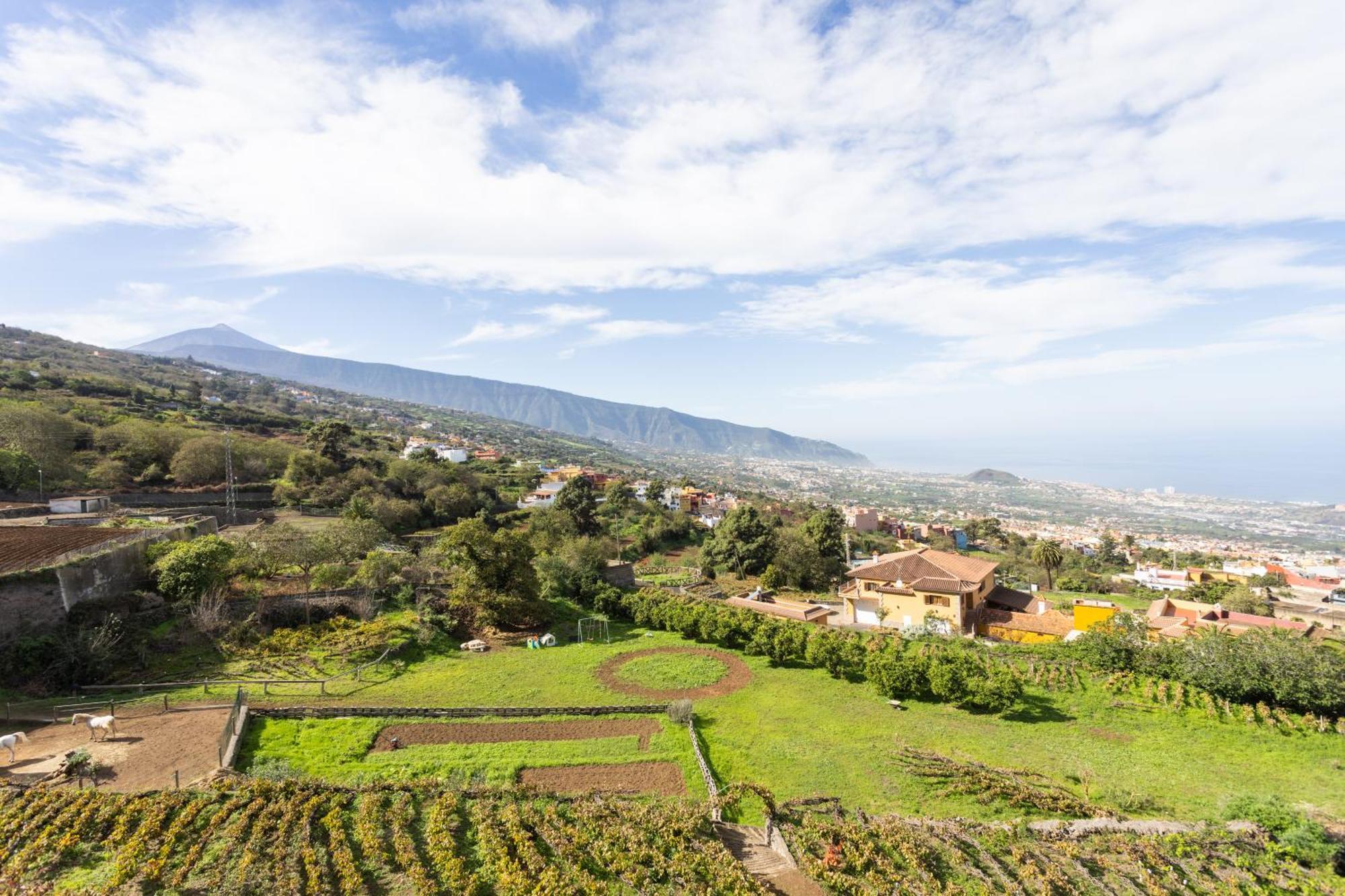 Ek Las Vistas Finca El Milagro La Orotava Bagian luar foto
